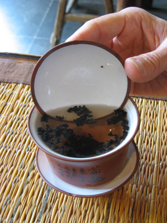 Tea tasting, Lan Su Chinese Garden, Portland, OR