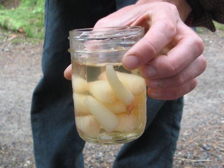 Pickled ramps, Swallow Tail Wild Edibles Tour