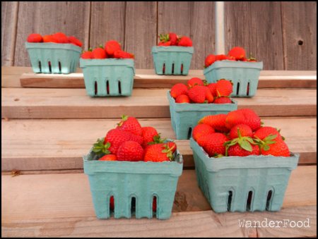Organic Strawberries, Santa Barbara