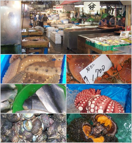 Tsukiji fish market tokyo