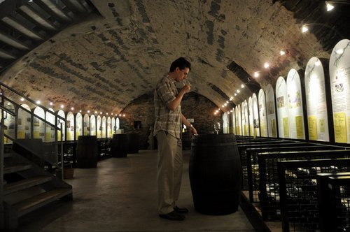 Riesling Wine Cave, Mosel Valley