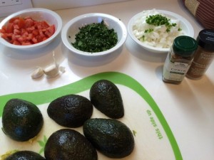 Guacamole Ingredients, avocado, tomato, cilantro, onion, Serrano chile, cumin, cayenne, garlic