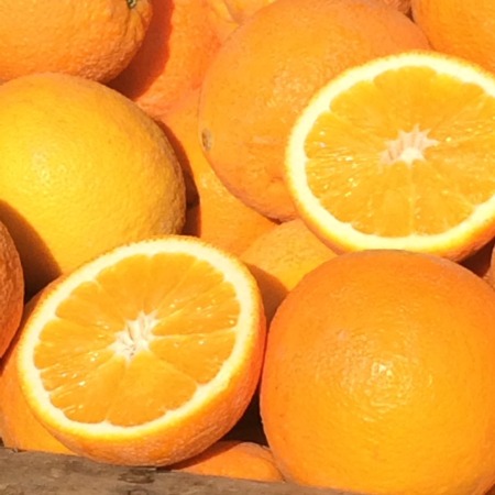 Oranges at Sonoma Farmers Market