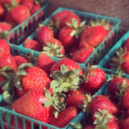 Strawberries at Sonoma Farmers Market