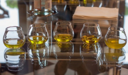 Olive Oil Tasting