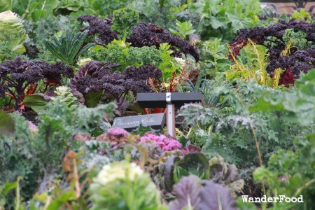 Lynmar Garden Kale Sign