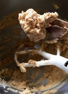 Oatmeal Coconut Cookie Dough