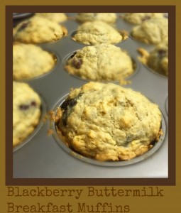 Blackberry buttermilk muffins