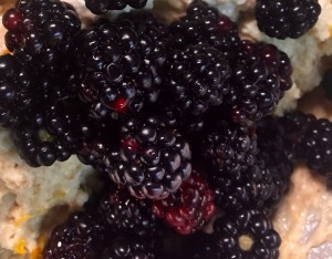 Fresh blackberries