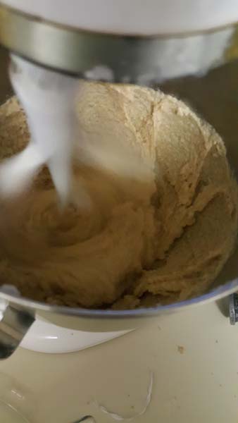 Butternut Squash Cake Batter