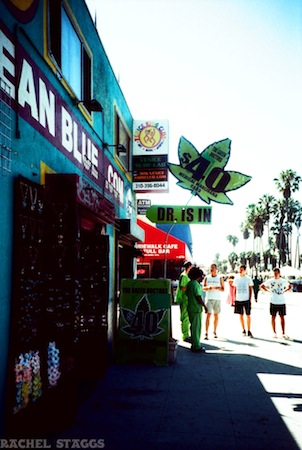 venice beach doctor marijuana shop los angeles california