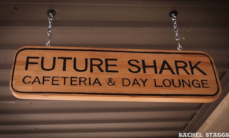 marfa texas future shark cafeteria and day lounge