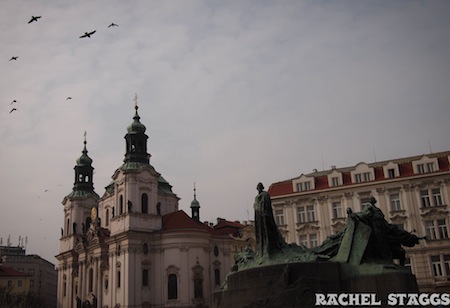 birds in prague old town square