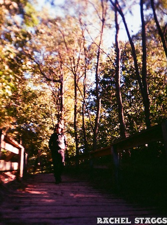 pathway to lake michigan