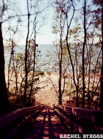 wooded path to beach