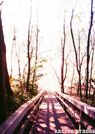 pathway to lake michigan