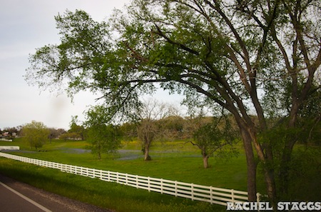 round top texas