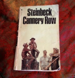 Steinbeck on Vietnamese Silk