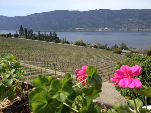 Okanagan Valley Wine Country