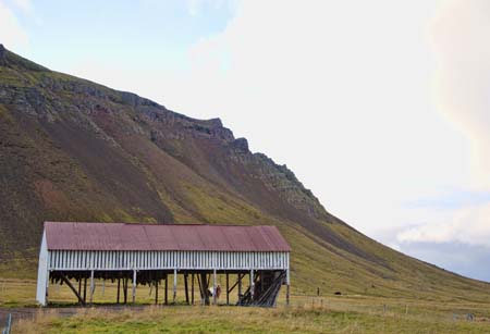 Shark drying shed