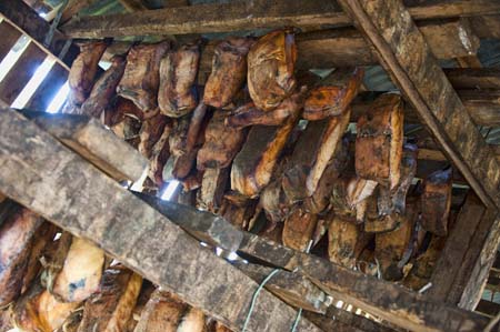 Shark drying in shed