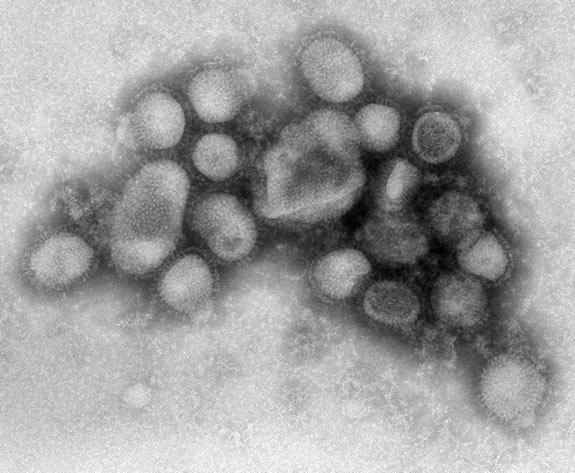 B00526 H1N1 flu med