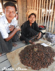 Betel Nut Vendors at the 5 Day Market