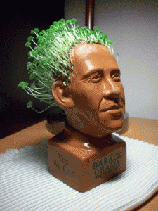 President Obama as a Chia Pet