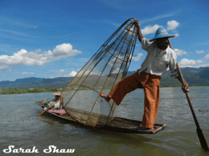 An Intha tribesman fishes on Inle Lake, Myanmar