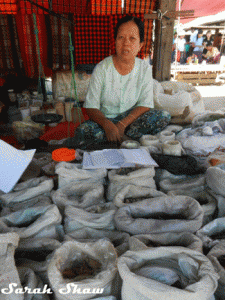 Herbalist at the 5 Day Market