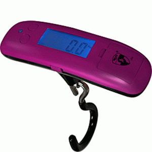 Pound and Kilogram Luggage scale from Heys