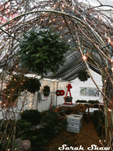 Custom Wreaths made at Hickory Corners, Lansing, Michigan