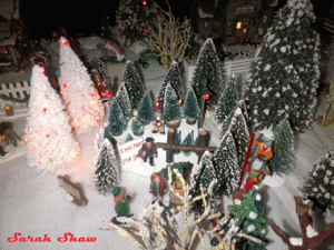 Miniature Christmas tree lot