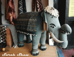 Elephant greet you at Ock Pop Tok