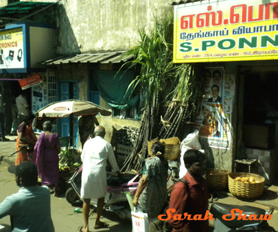 Shopping for Pongal decorations in Chennai