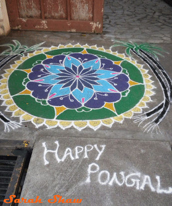 Kolam for Pongal
