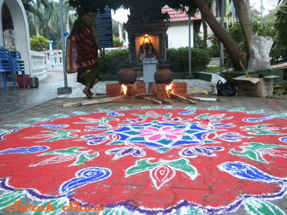 Kolam and the pongal pot are part of festibal in Tamil Nadu