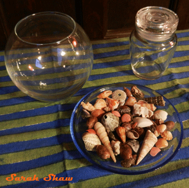 Decorating with Seashells