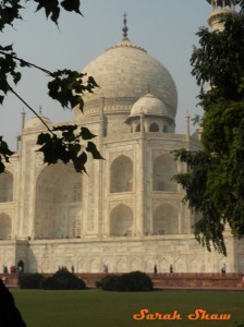 The Taj Mahal as seen through the trees at its side.