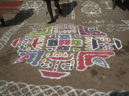 Pongal kolam in Tamil Nadu, India