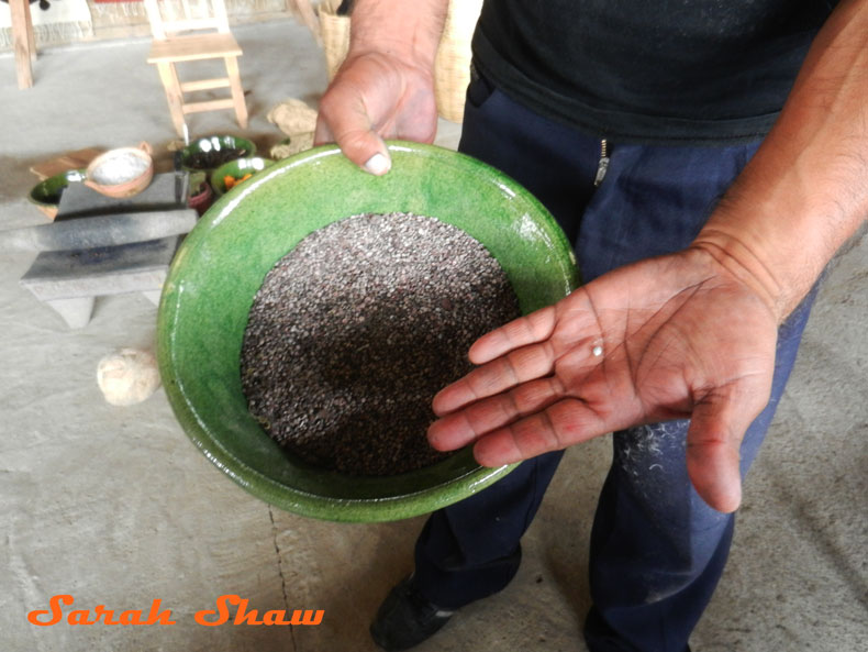 Dried cochineal are used for red dye