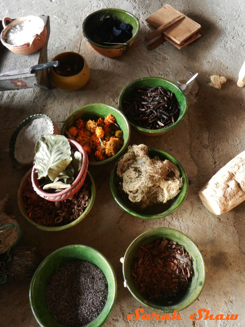 Plant materials used for natural dyes in Oaxaca, Mexico