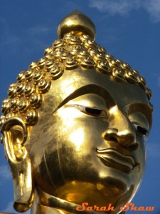 Detail of the Buddha's head from northern Thailand
