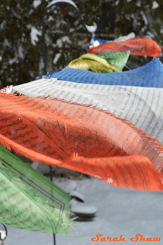 Prayer flags from Bhutan