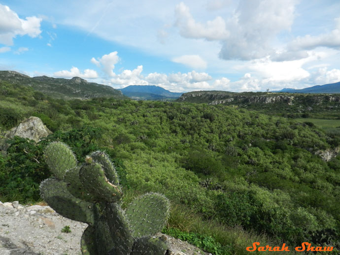 Valley around Yagul in Oaxaca, Mexico