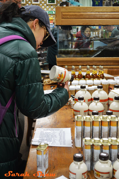 Shopping for maple syrup at Fenner Nature Center