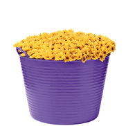 Gardeners Supply Company offers coloful trugs of many sizes