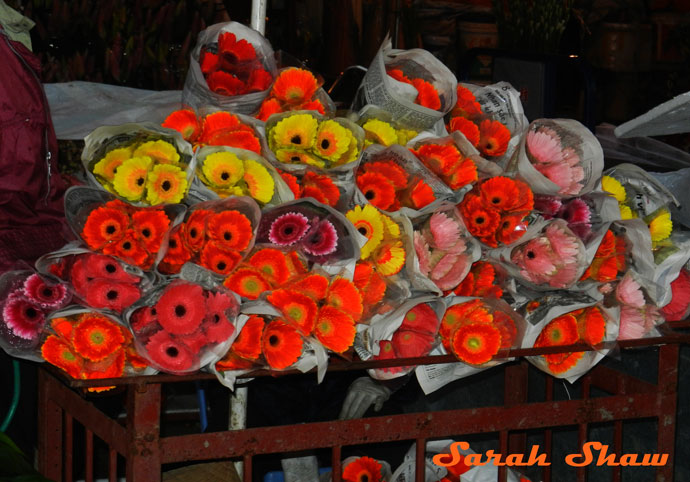 Gerbera daisies at the Hanoi Flower Market, Hanoi