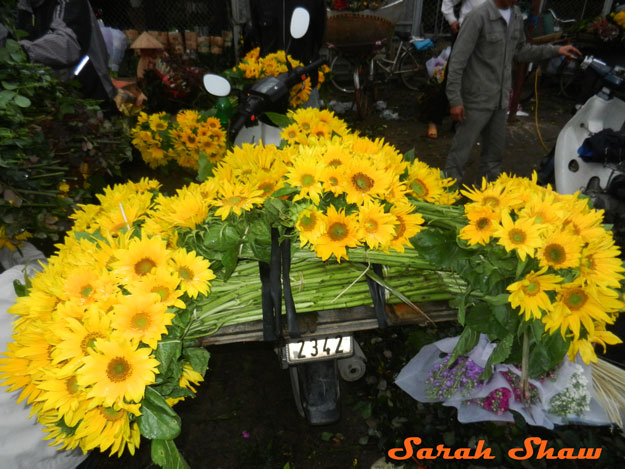 Motorcycle loaded with sunflowers at the Hanoi Flower Market, Vietnam