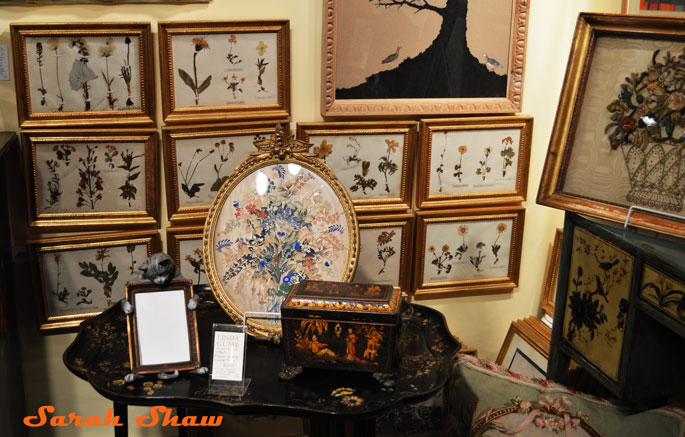 Framed pressed flowers and plants at the Antique and Garden Fair in Chicago